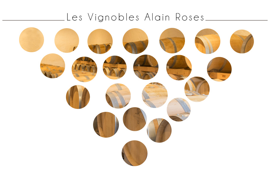 les Vignobles Alain Roses - Château Grand Tayac - Margaux - Château Haut-Bellevue -Moulis - Bordeaux - grappe de raisin