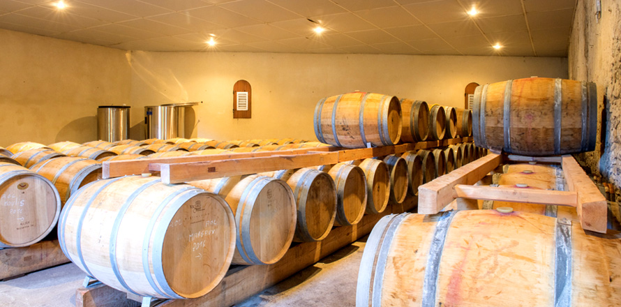 The Vineyards Alain Roses - Château Grand Tayac Margaux - Château Haut-Bellevue Moulis - barrels